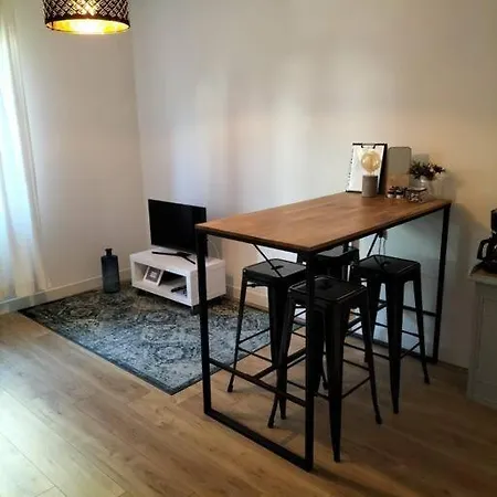 Appartement Cosy Et Renove En Hypercentre. *