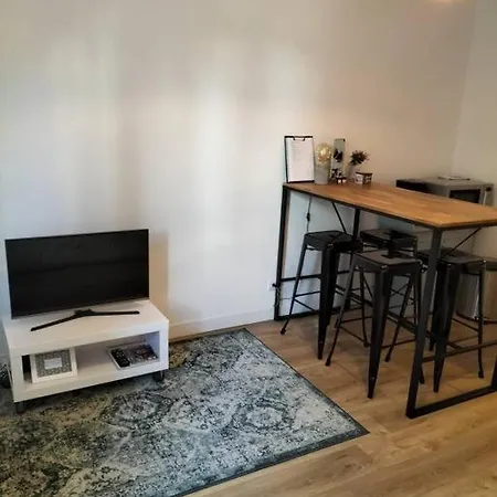 Apartment Cosy Et Renove En Hypercentre.